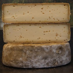 TOMME DE MONTAGNE